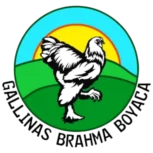 Logo gallinas brahma boyaca