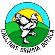 Logo gallinas brahma boyaca